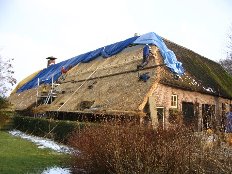 constructie van een rieten dak